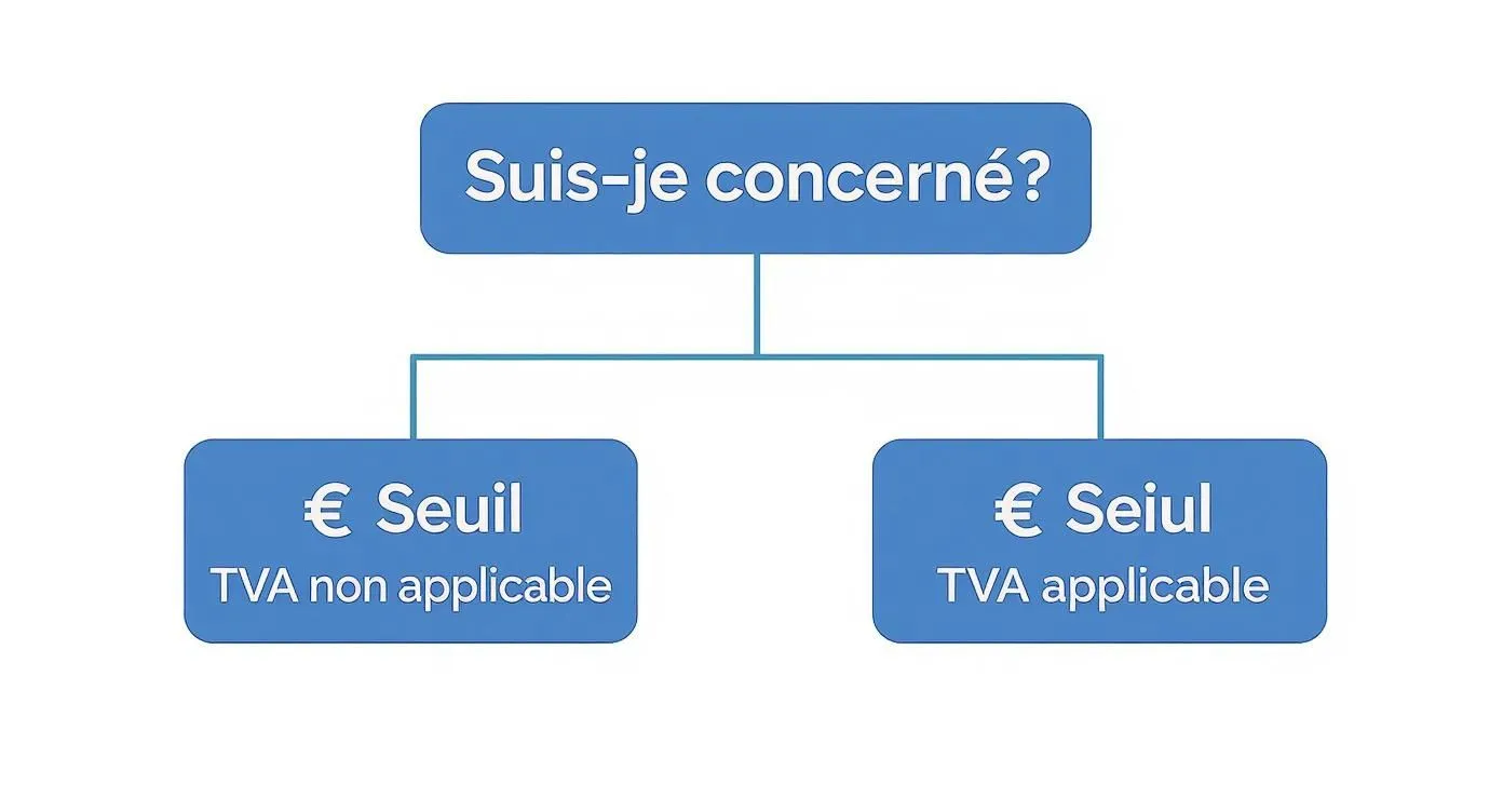 Infographic about VAT not applicable