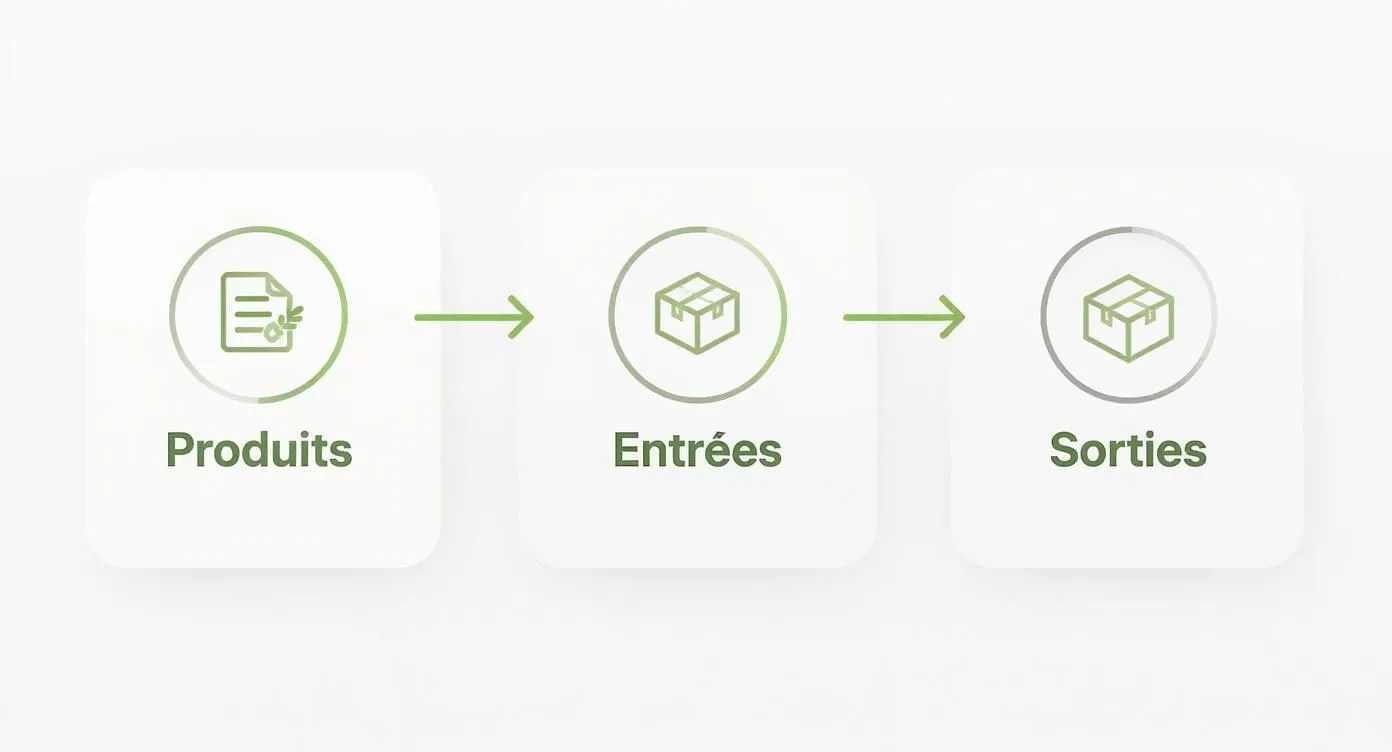 Infographic showing the three-step inventory management process: Products, Stock In, and Stock Out.