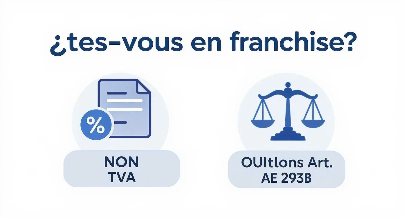 Chart explaining VAT status for sole traders, with 'NO VAT' and 'YES, Article 293B' options.