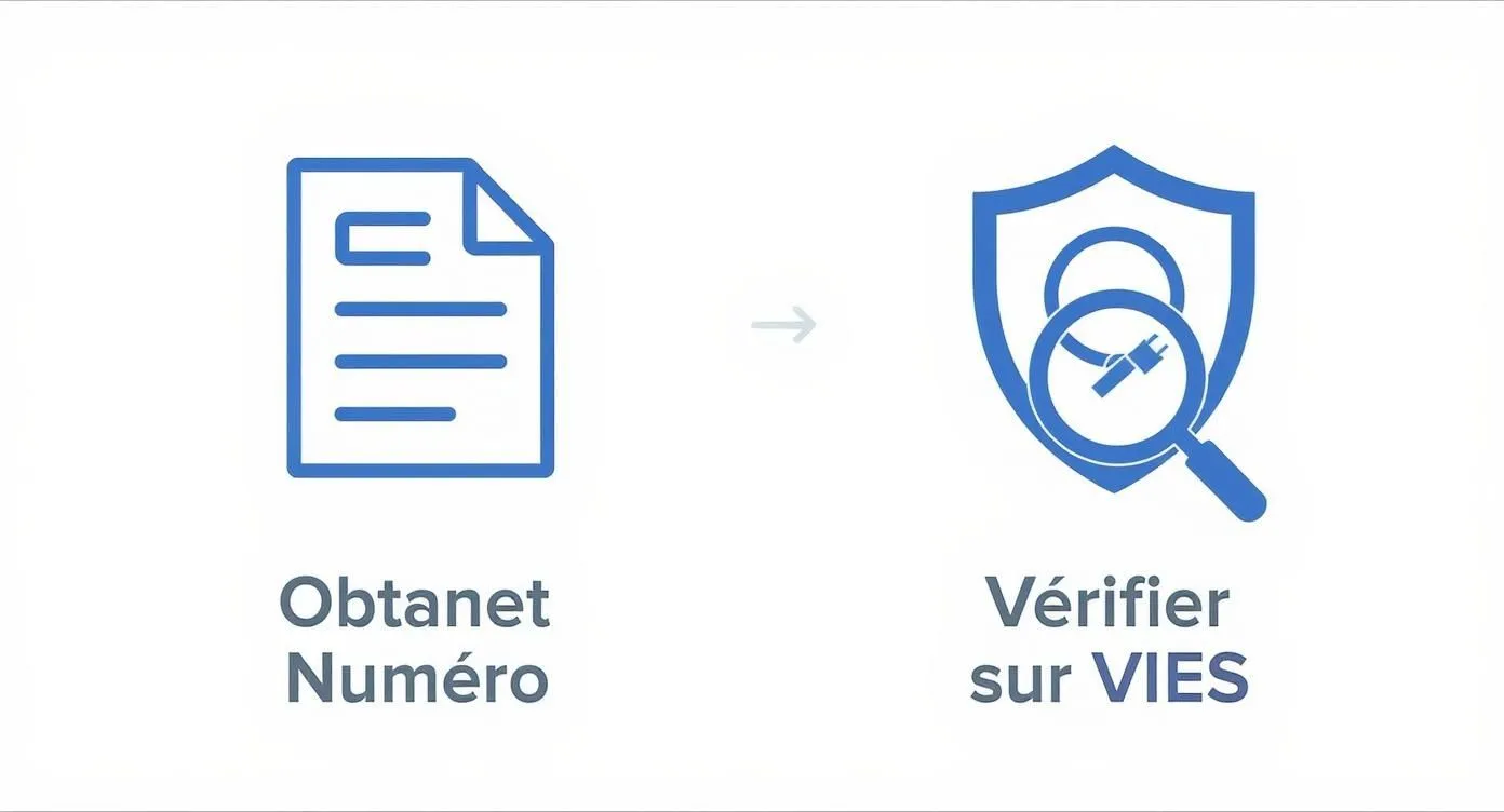 Infographic showing the two-step process for validating a VAT number: obtaining it, then checking it on the VIES system.