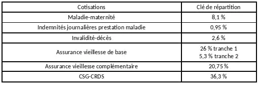 contribution self-employed professionals Cipav