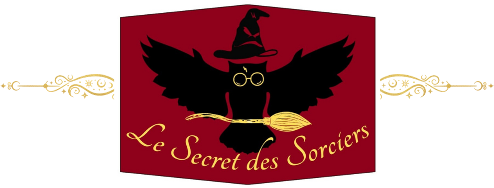Le Secret des Sorciers